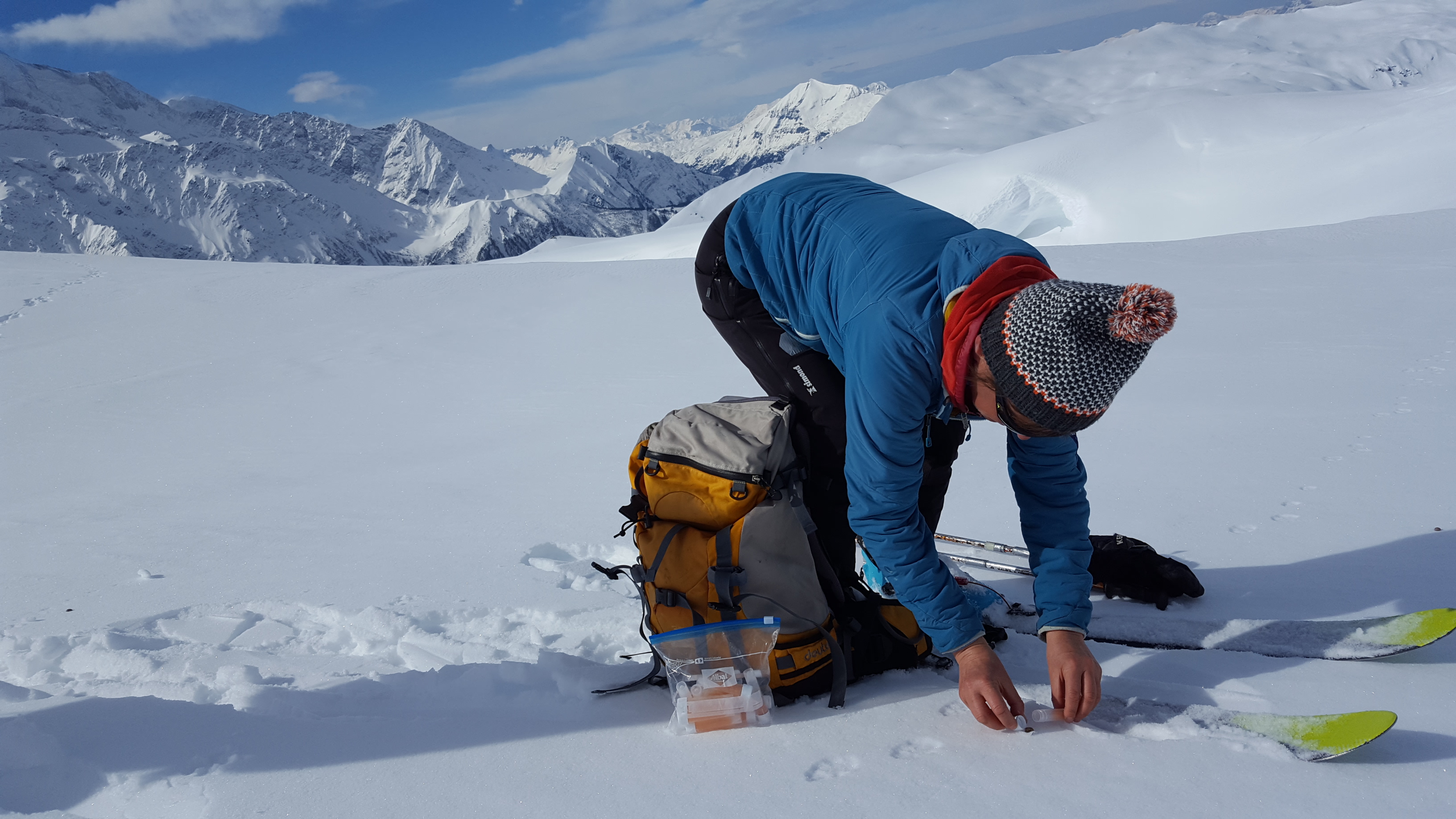Suivi de l’évolution du lièvre variable, espèce typiquement alpine, par analyse génétique