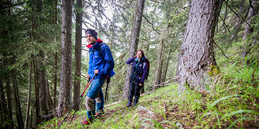 In the field with the Laboratoire d’Ecologie Alpine (LECA CNRS Grenoble) installing new monitoring plots for the ORCHAMPS program