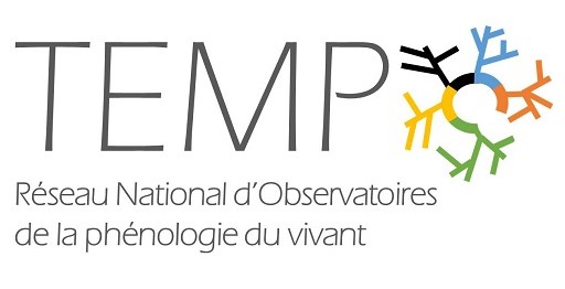 Tempo